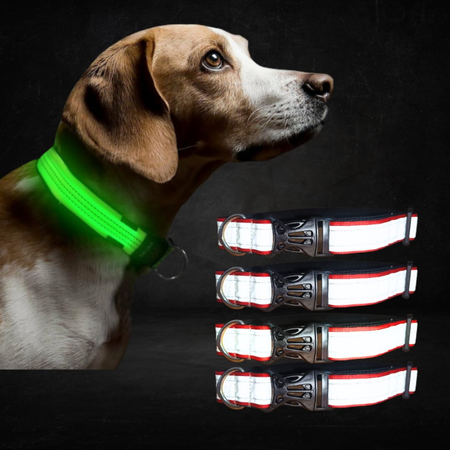 Dog Collars